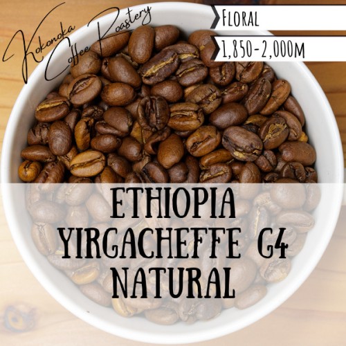 エチオピア - モカ・イルガチェフェG4（ナチュラル・有機）
