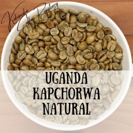 〈生豆〉ウガンダ - カプチョルワ(ナチュラル) 〈生豆〉ウガンダ - カプチョルワ(ナチュラル)