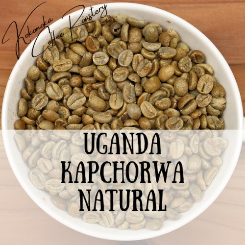 〈生豆〉ウガンダ - カプチョルワ（ナチュラル）