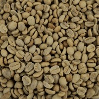 〈生豆〉ペルー - ノース・アンデス・ゴールド・ブルボン