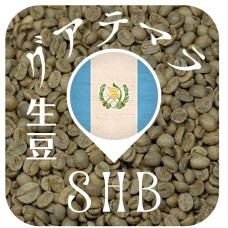 〈生豆〉グアテマラ - SHB